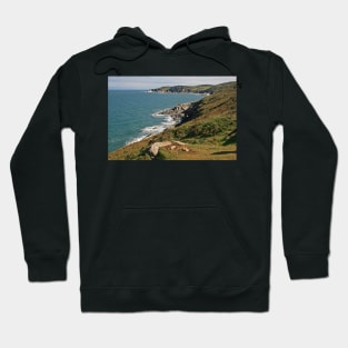 Rockham Bay & Bull Point, North Devon Hoodie